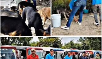 Mototaxistas dedican parte de sus ganancias para alimentar a 70 perros sin hogar