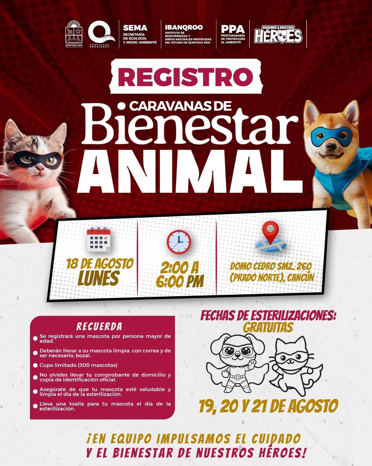 mascota