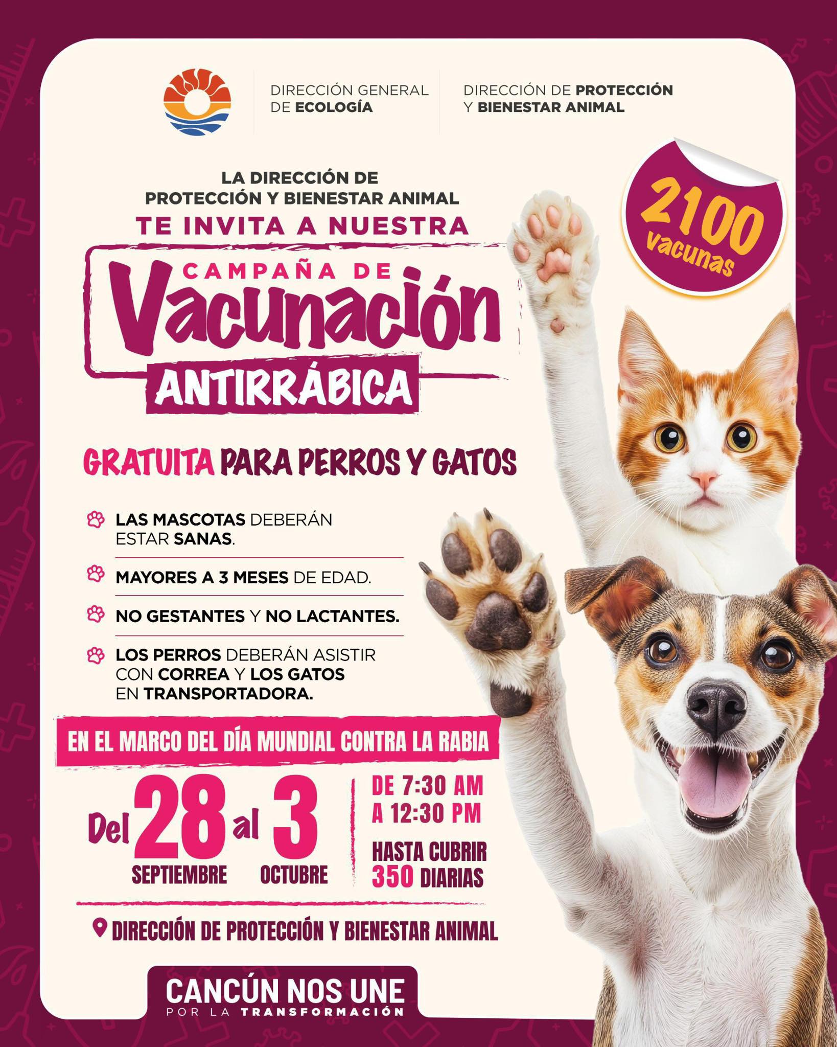 vacunas